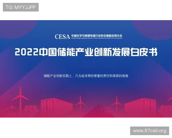 鸿泰集团：引领行业发展的创新与卓越之路